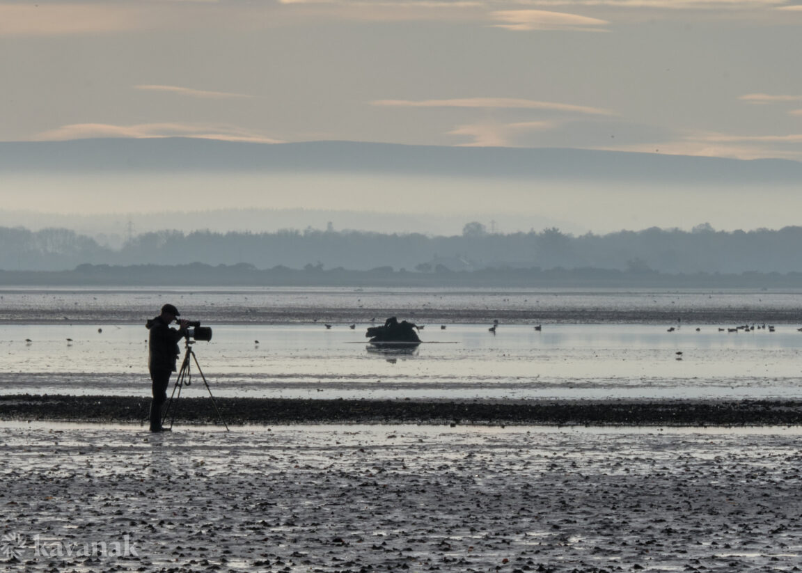 Birdwatcher on Findhorn Bay Estuary